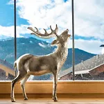 Gaestehaus Schneider Am Dorfplatz Affittacamere 3*