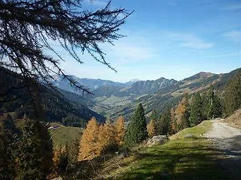 Schneider Am Dorfplatz 3* Alpbach